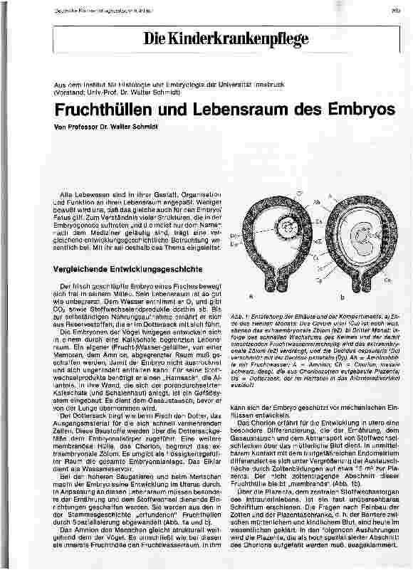 Vorschauseite 1: Fruchthüllen und Lebensraum des Embryos