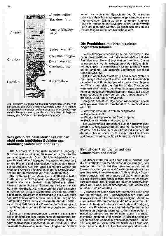 Vorschauseite 2: Fruchthüllen und Lebensraum des Embryos