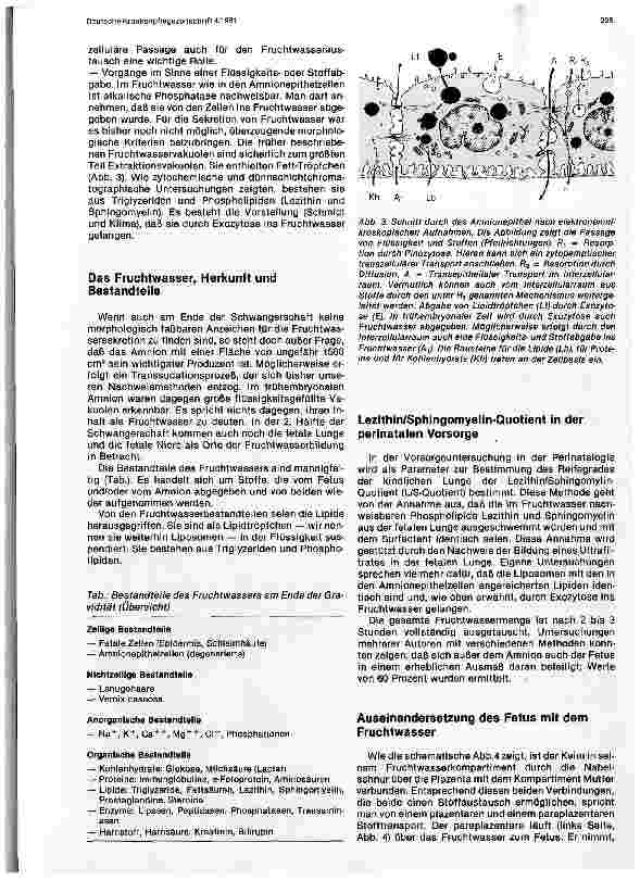 Vorschauseite 3: Fruchthüllen und Lebensraum des Embryos