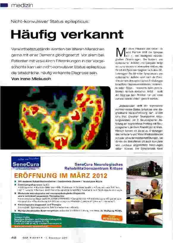Vorschauseite 1: Häufig verkannt