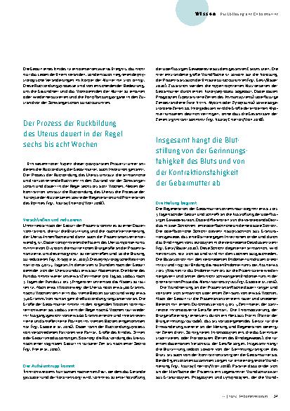 Vorschauseite 2: Zurück zum Ursprung