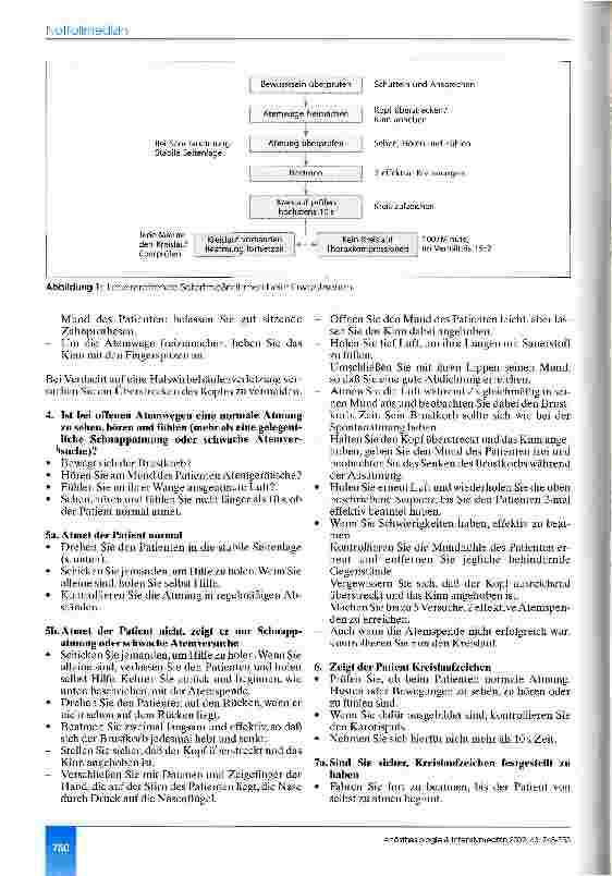 Vorschauseite 3: Lebensrettende Sofortmaßnahmen beim Erwachsenen Leitlinien des European Resuscitation Council 2000