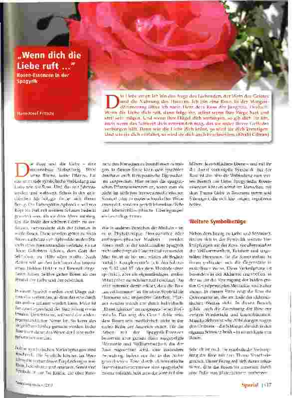 Vorschauseite 1: wenn Dich die Liebe ruft...
