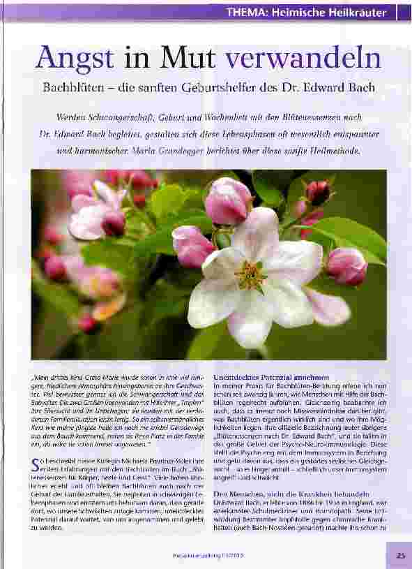 Vorschauseite 1: Angst in Mut verwandeln