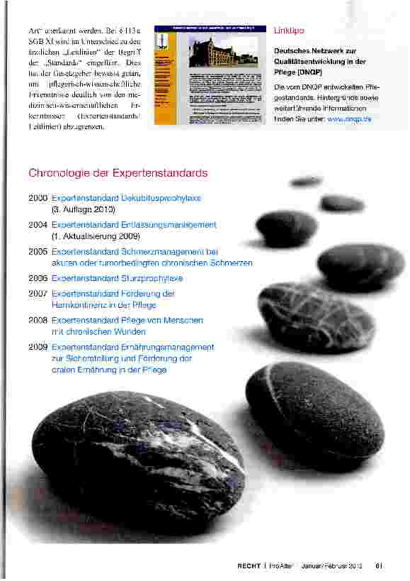 Vorschauseite 2: Expertenstandards in der Pflege