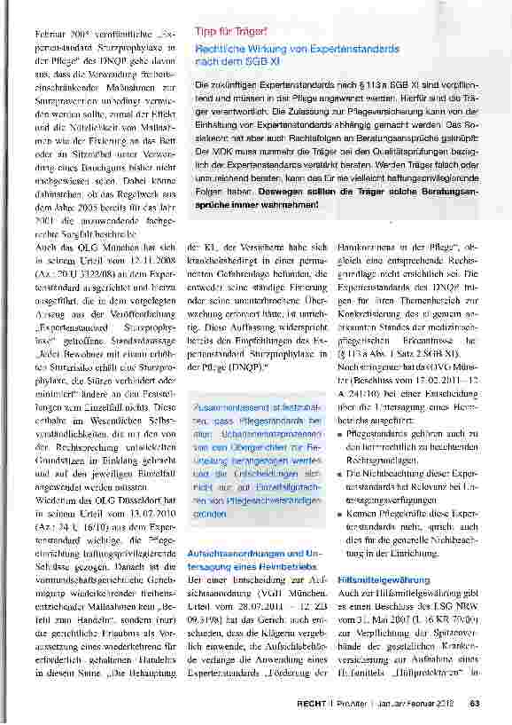 Vorschauseite 4: Expertenstandards in der Pflege