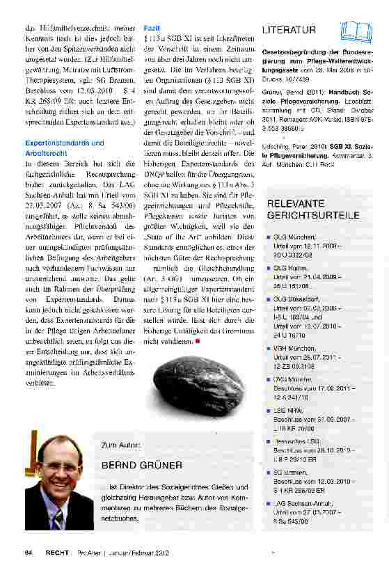 Vorschauseite 5: Expertenstandards in der Pflege