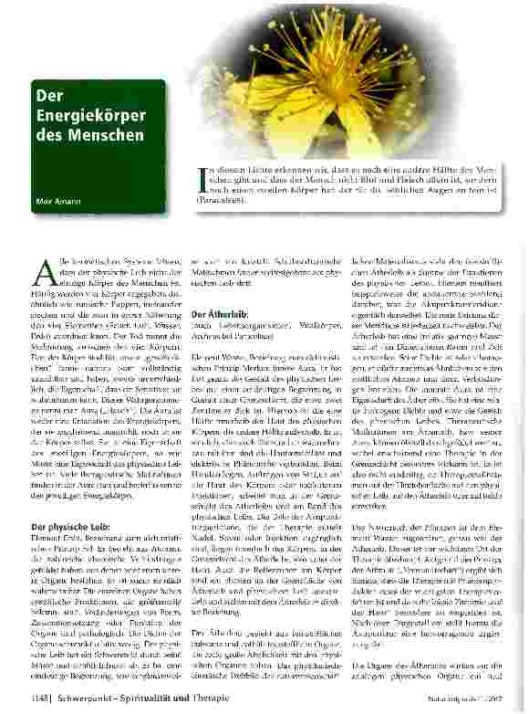 Vorschauseite 1: Der Energiekörper des Menschen