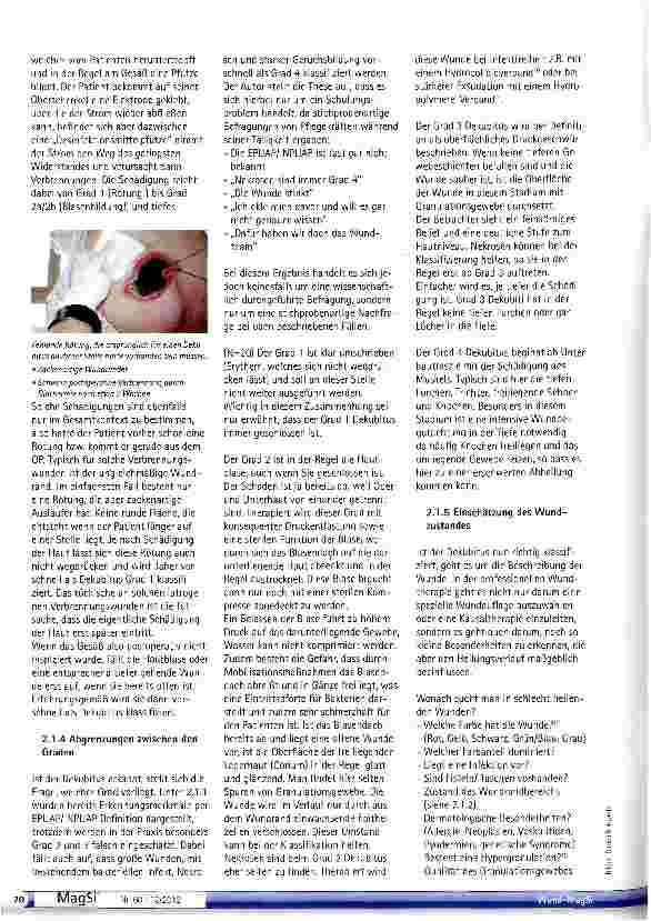 Vorschauseite 3: Klassifizierung und Einschätzung von Dekubitalulzerationen in klinischen Einrichtunqen