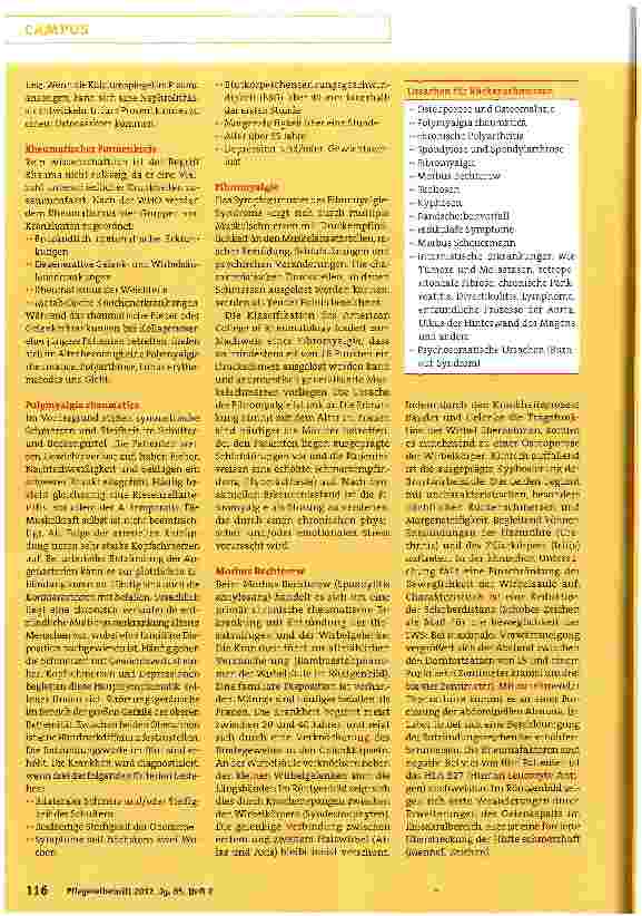 Vorschauseite 3: Von der Osteoporose bis zum Tumor