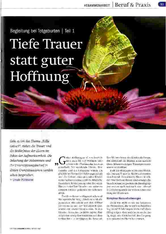 Vorschauseite 1: Begleitung bei Totgeburt Teil1 Tiefe Trauer statt guter Hoffnung