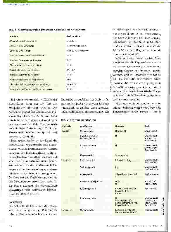 Vorschauseite 3: Muskelkraftmessung