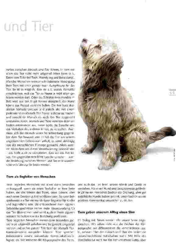 Vorschauseite 2: Ein wunderbares Zusammenleben