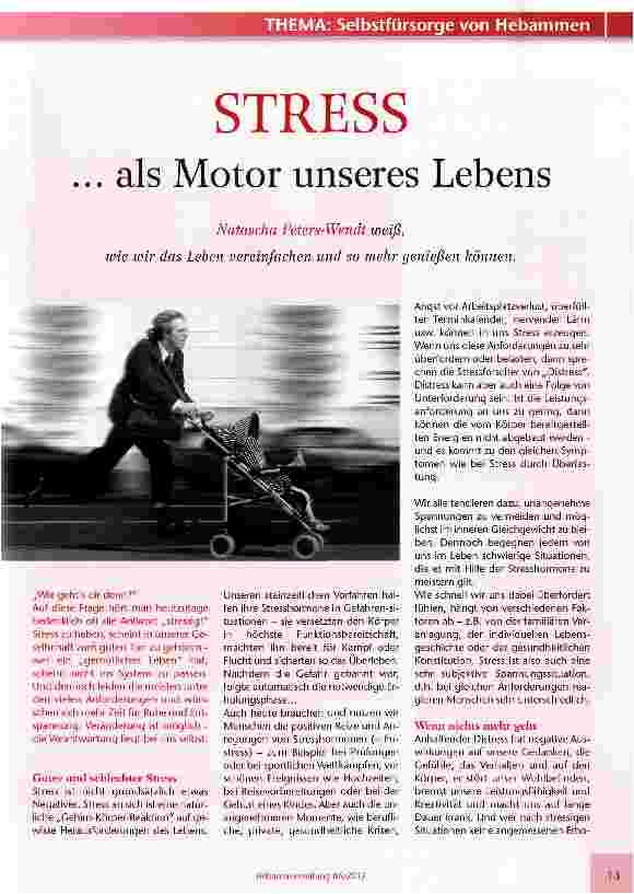 Vorschauseite 1: STRESS... als Motor unseres Lebens