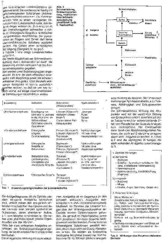 Vorschauseite 2: Analgetika