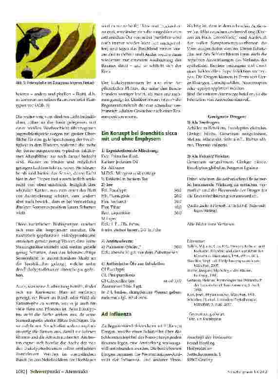 Vorschauseite 4: Eukalyptuswohlverborgen? , wohlriechend?