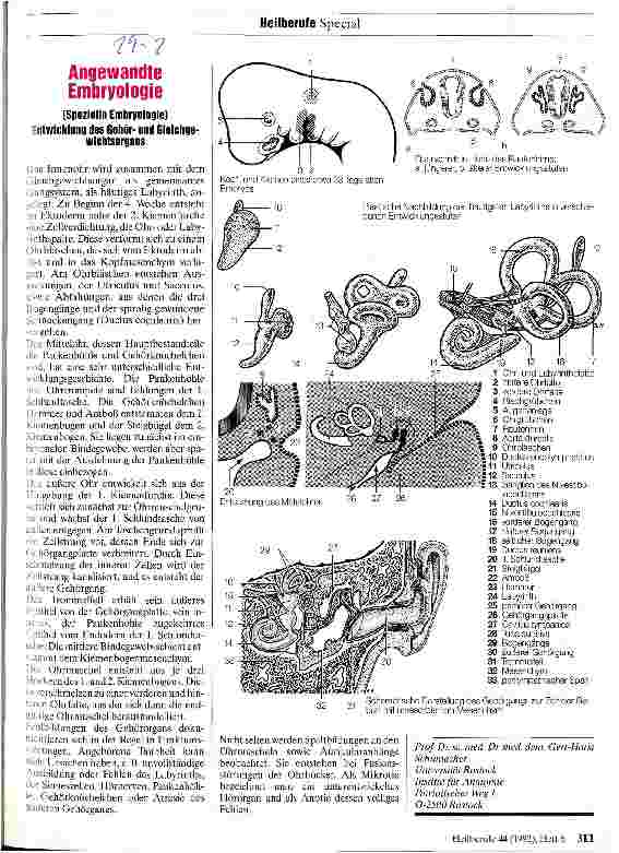 Vorschauseite 1: Angewandte Embryologie Entwicklung des Gehörund Gleichgewichtsorgans