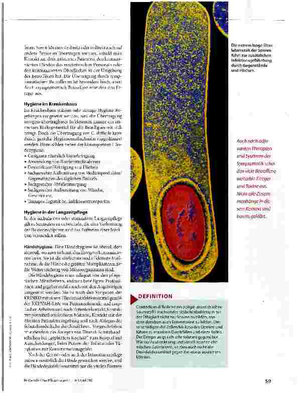 Vorschauseite 2: Gefährlich - Infektionen mit Clostridium difficile