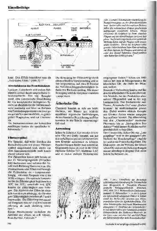 Vorschauseite 2: Ätherische Öle für lungenpflegerische Maßnahmen?