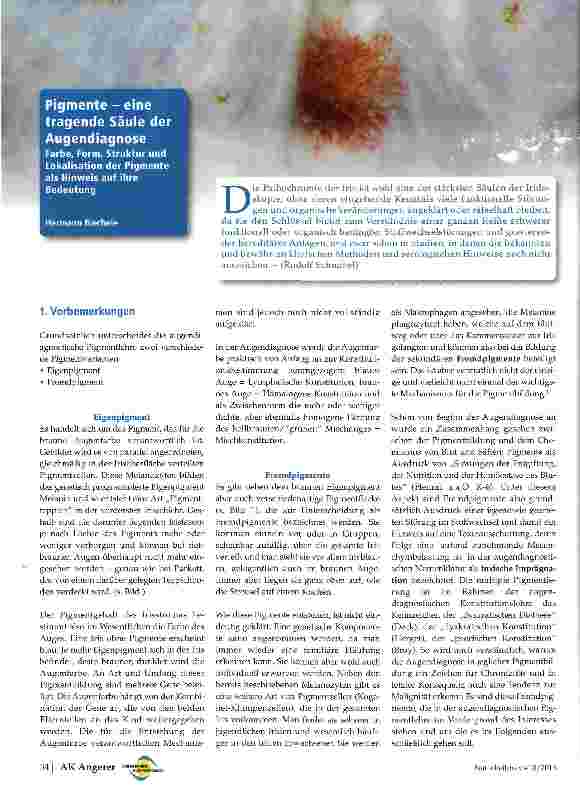 Vorschauseite 1: Pigmente - eine tragende Säule der Augendiagnose
