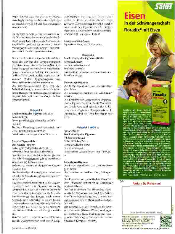 Vorschauseite 5: Pigmente - eine tragende Säule der Augendiagnose
