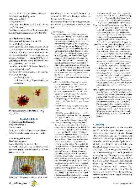 Vorschauseite 6: Pigmente - eine tragende Säule der Augendiagnose