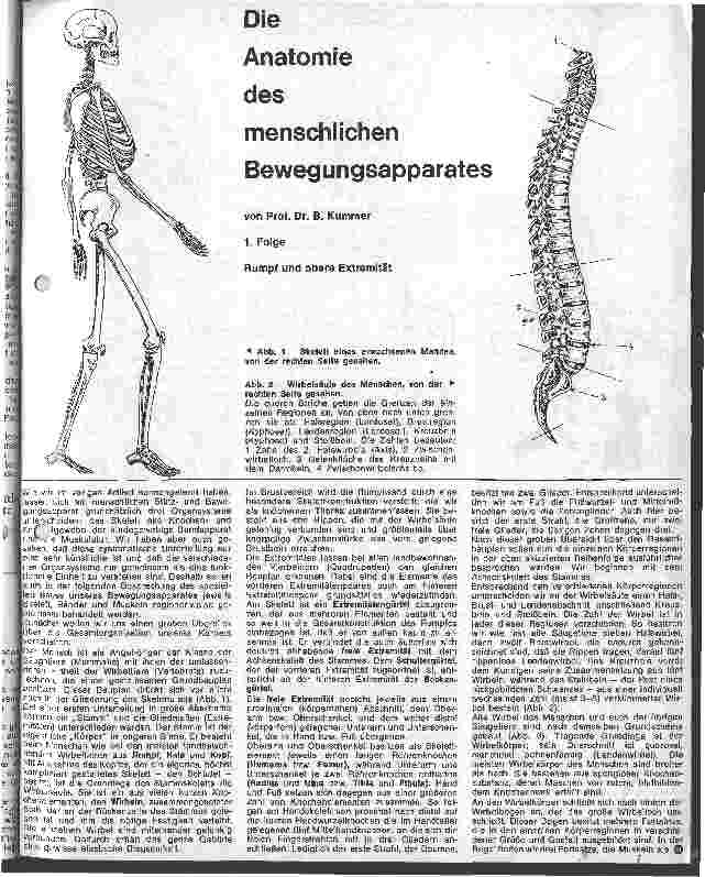 Vorschauseite 1: Die Anatomie des menschlichen Bewegungsapperates 1. Folge: Rumpf und obere Extrimitäten