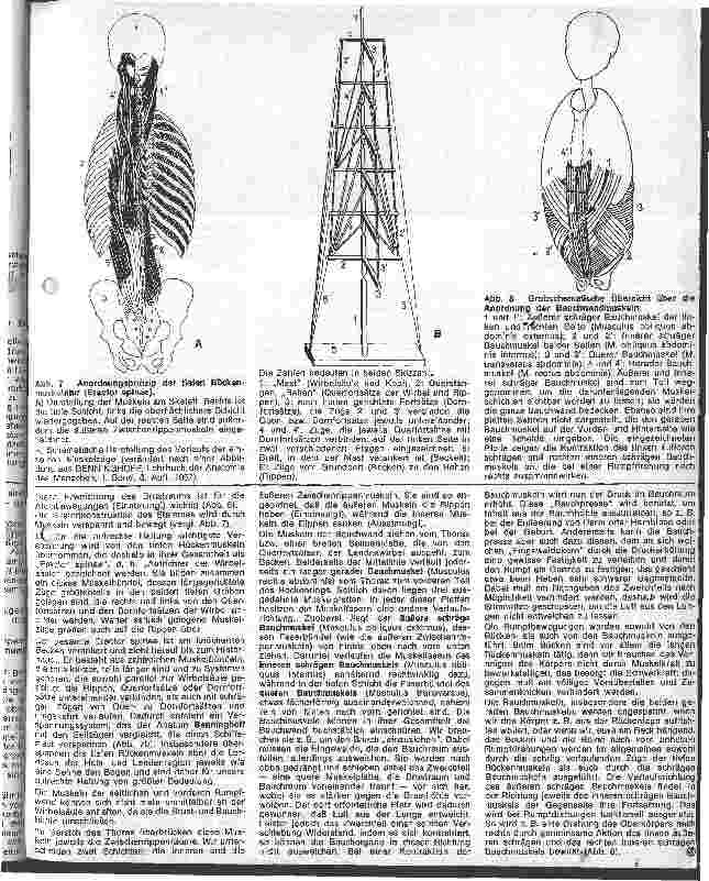 Vorschauseite 3: Die Anatomie des menschlichen Bewegungsapperates 1. Folge: Rumpf und obere Extrimitäten