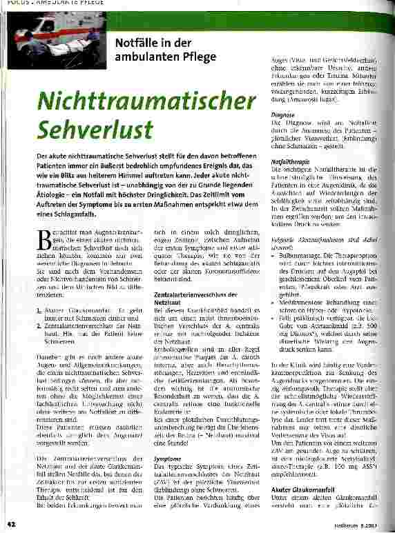 Vorschauseite 1: Nichttraumatischer Sehverlust