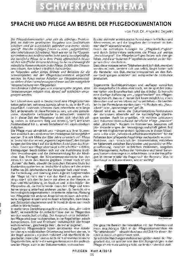 Vorschauseite 1: SPRACHE UND PFLEGE AM BEISPIEL DER PFLEGEDOKUMENTATION