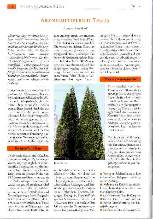 Vorschauseite 1: ARZNEIMITTELBILD THUJA