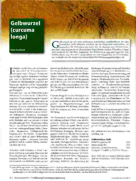 Vorschauseite 1: Gelbwurzel (curcuma longa)