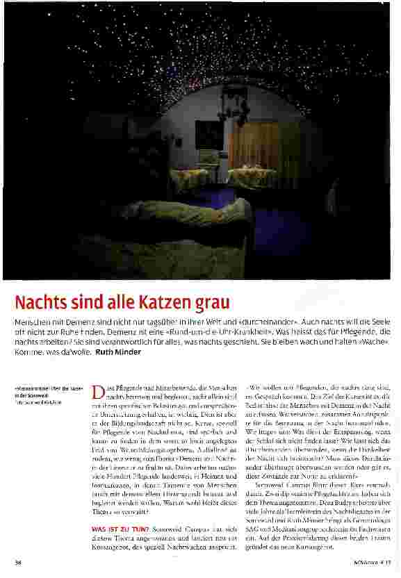 Vorschauseite 1: Nachts sind alle Katzen grau