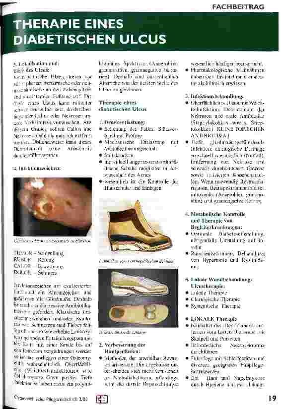 Vorschauseite 3: Diabetisches Fuss-Syndrom