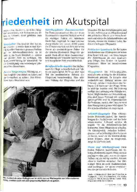 Vorschauseite 2: Arbeitszufriedenheit im Akutspital