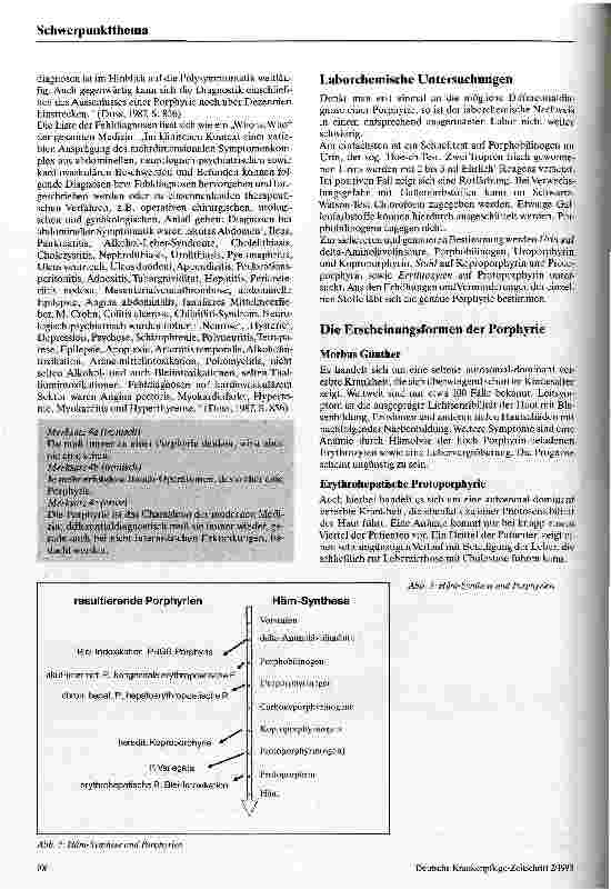 Vorschauseite 3: Porphyrien