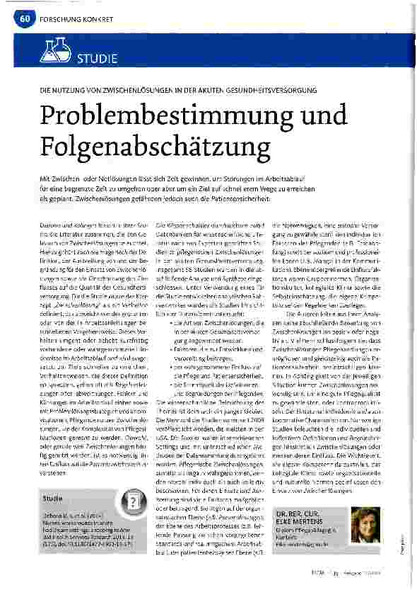 Vorschauseite 1: Problembestimmung und Folgenabschätzung
