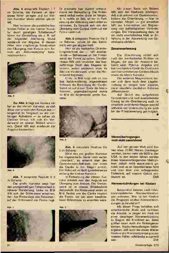 Vorschauseite 2: Die Orientierung im Magen