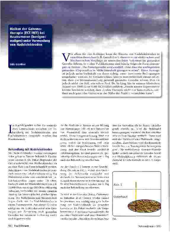 Vorschauseite 1: Risiken der Galvanotherapie (ECT/BET) bei Hauttumoren (benigne/ maligne) unter Verwendung von Nadelelektroden