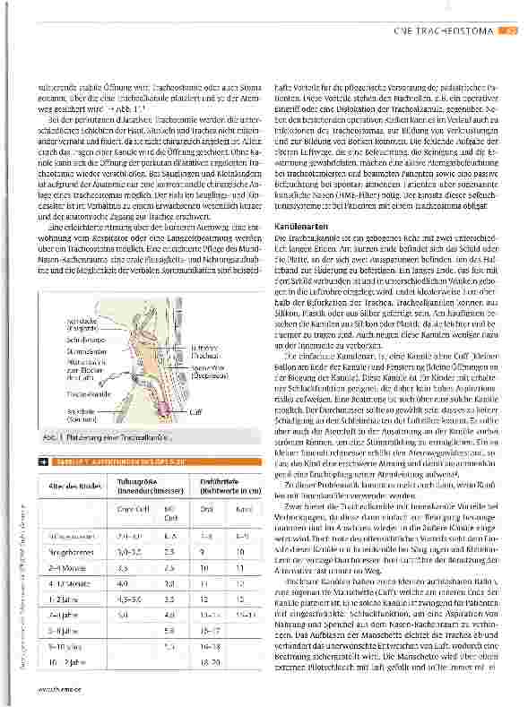 Vorschauseite 2: Nichts dem Zufall überlassen