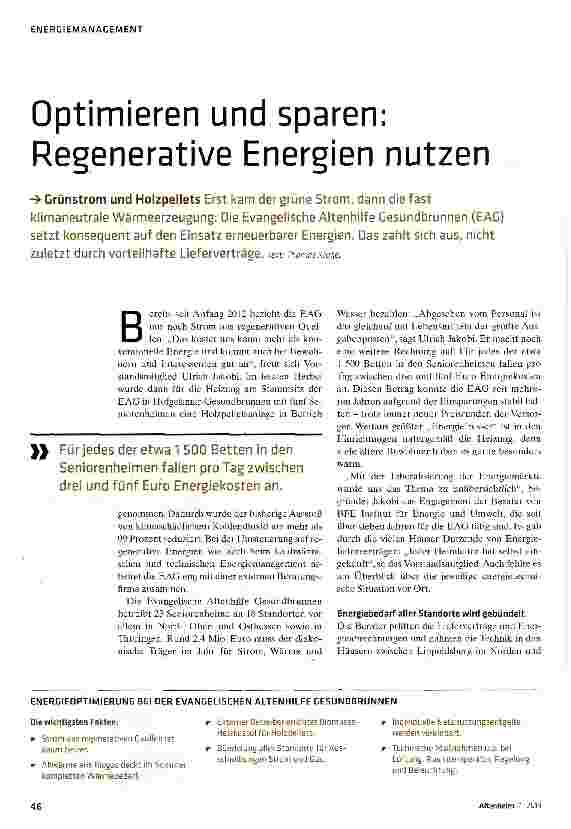 Vorschauseite 1: Optimieren und sparen: Regenerative Energien nutzen