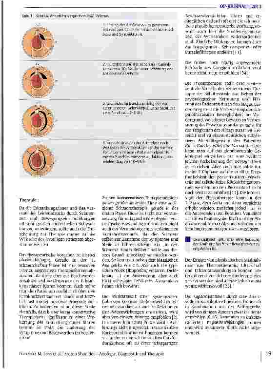 Vorschauseite 4: Frozen Shoulder - Ätiologie, Diagnostik und Therapie