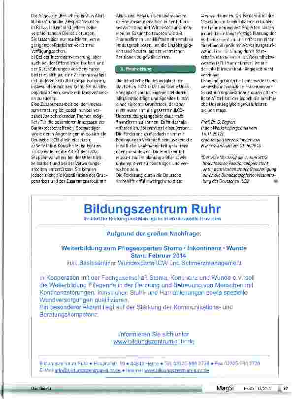 Vorschauseite 3: Selbsthilfeorganisation im Spannungsfeld zur Professionalisierung