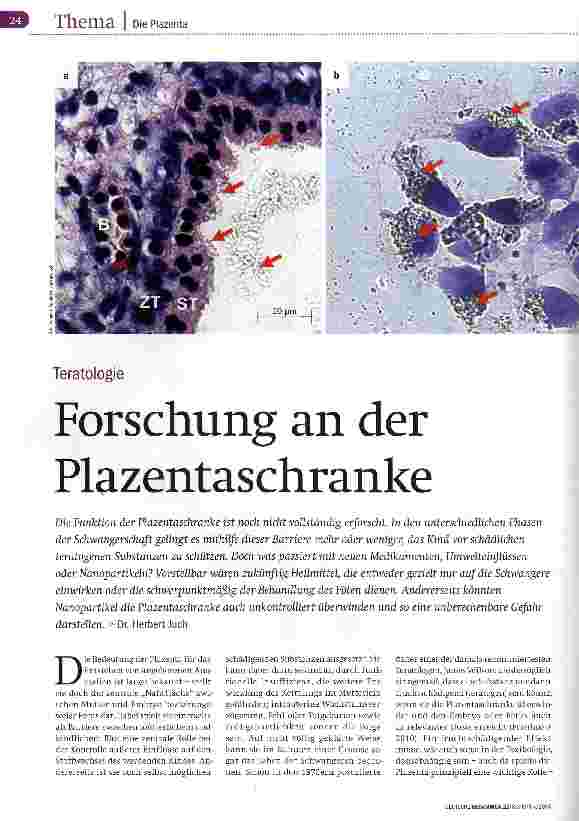 Vorschauseite 1: Forschung an der Plazentaschranke