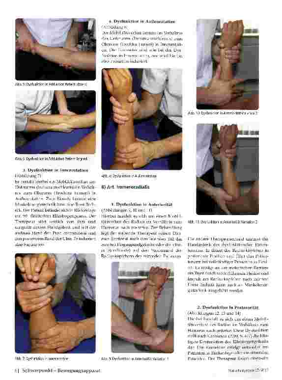 Vorschauseite 3: Das Ellenbogengelenk im Kontext der Osteopathie