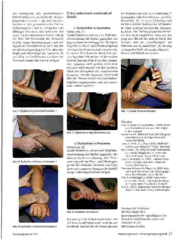 Vorschauseite 4: Das Ellenbogengelenk im Kontext der Osteopathie