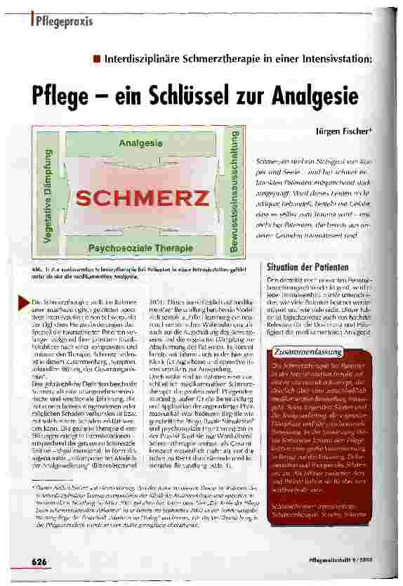 Vorschauseite 1: Pflege - ein Schlüssel zur Analgesie