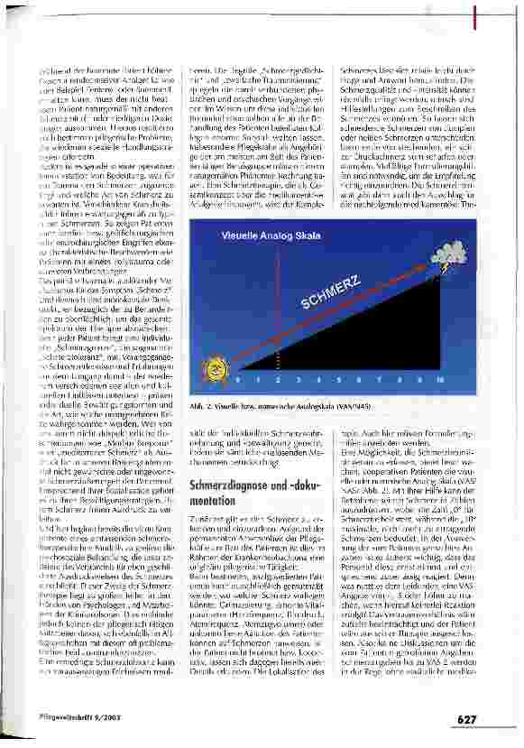 Vorschauseite 2: Pflege - ein Schlüssel zur Analgesie