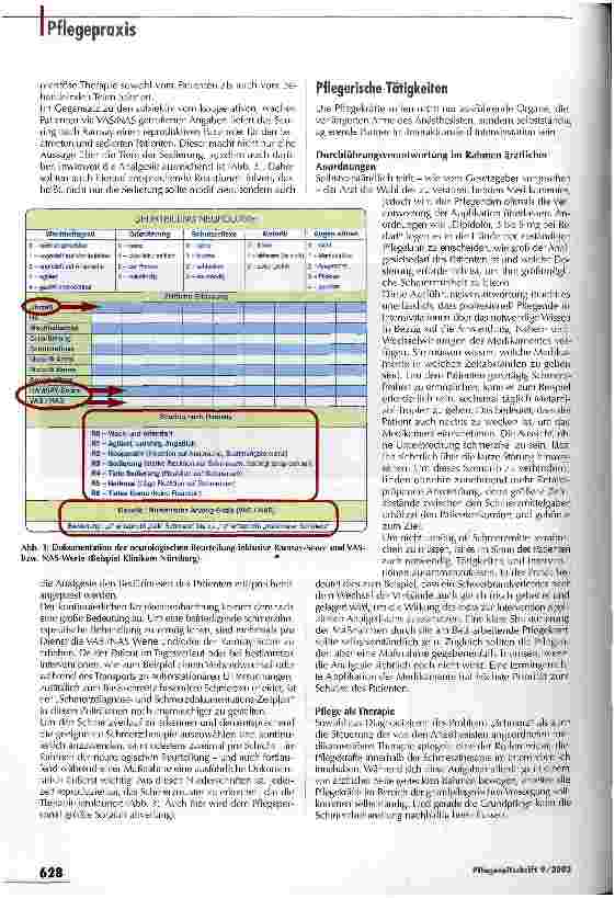 Vorschauseite 3: Pflege - ein Schlüssel zur Analgesie