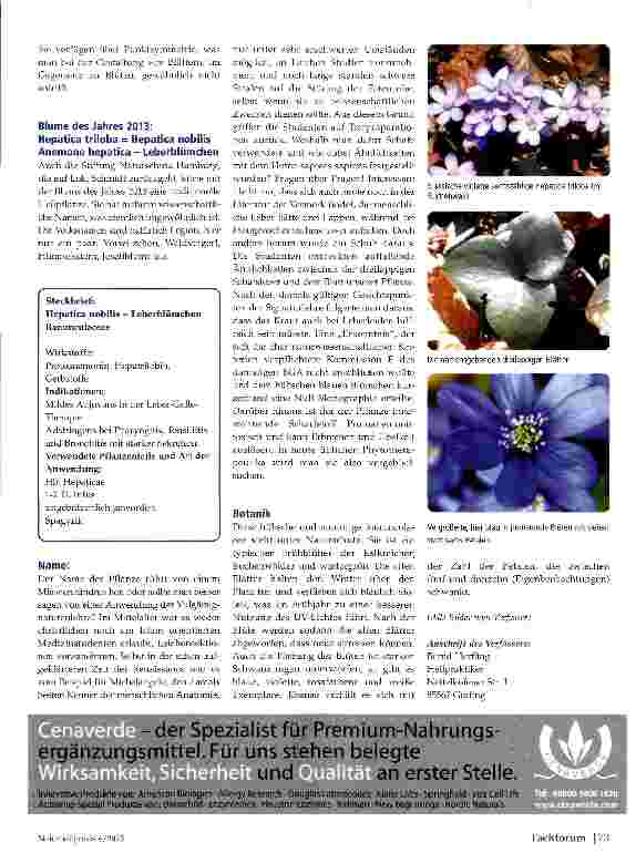 Vorschauseite 5: Pflanzen 2013- Edelrose, Kapuzinerkresse, Leberblümchen